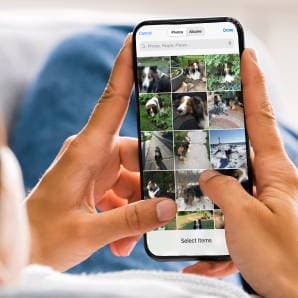 Upload your photos